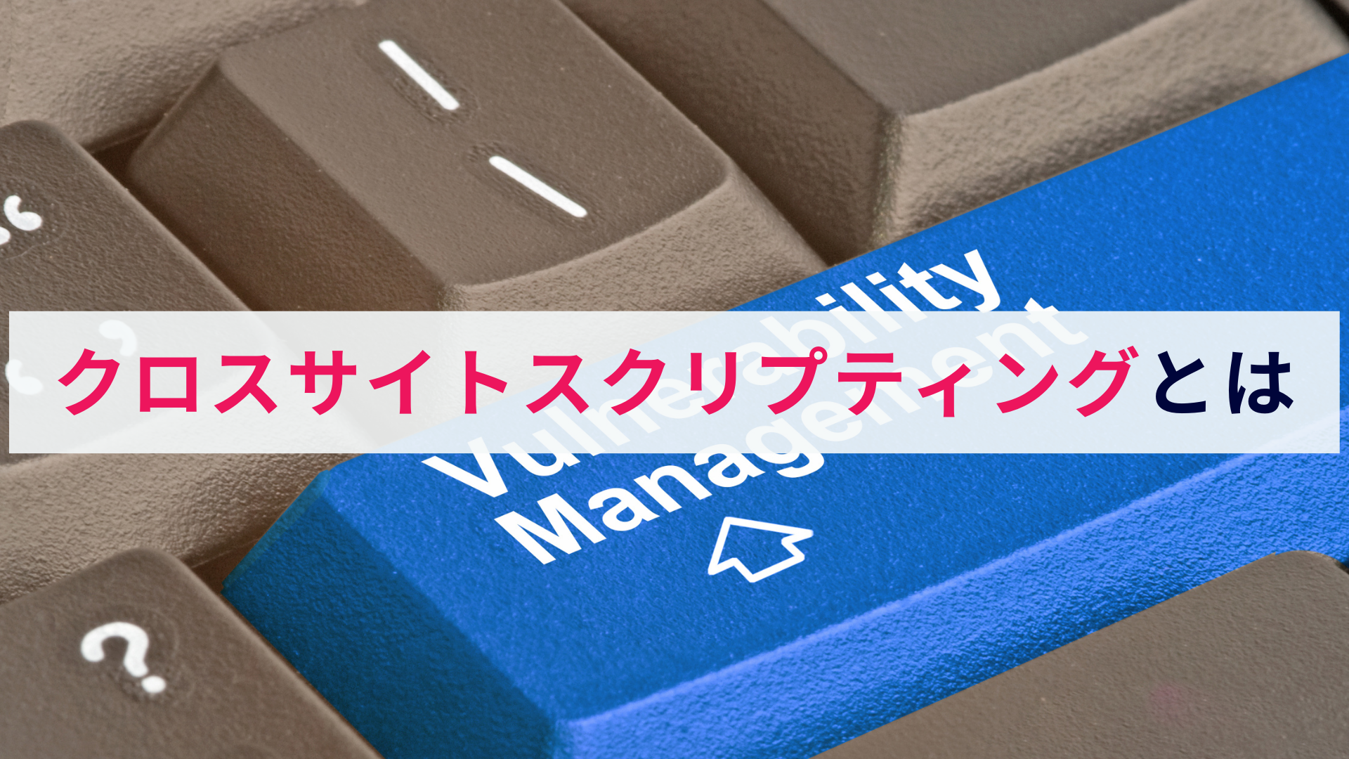 クロスサイトスクリプティング(XSS)とは?概要から対策まで解説