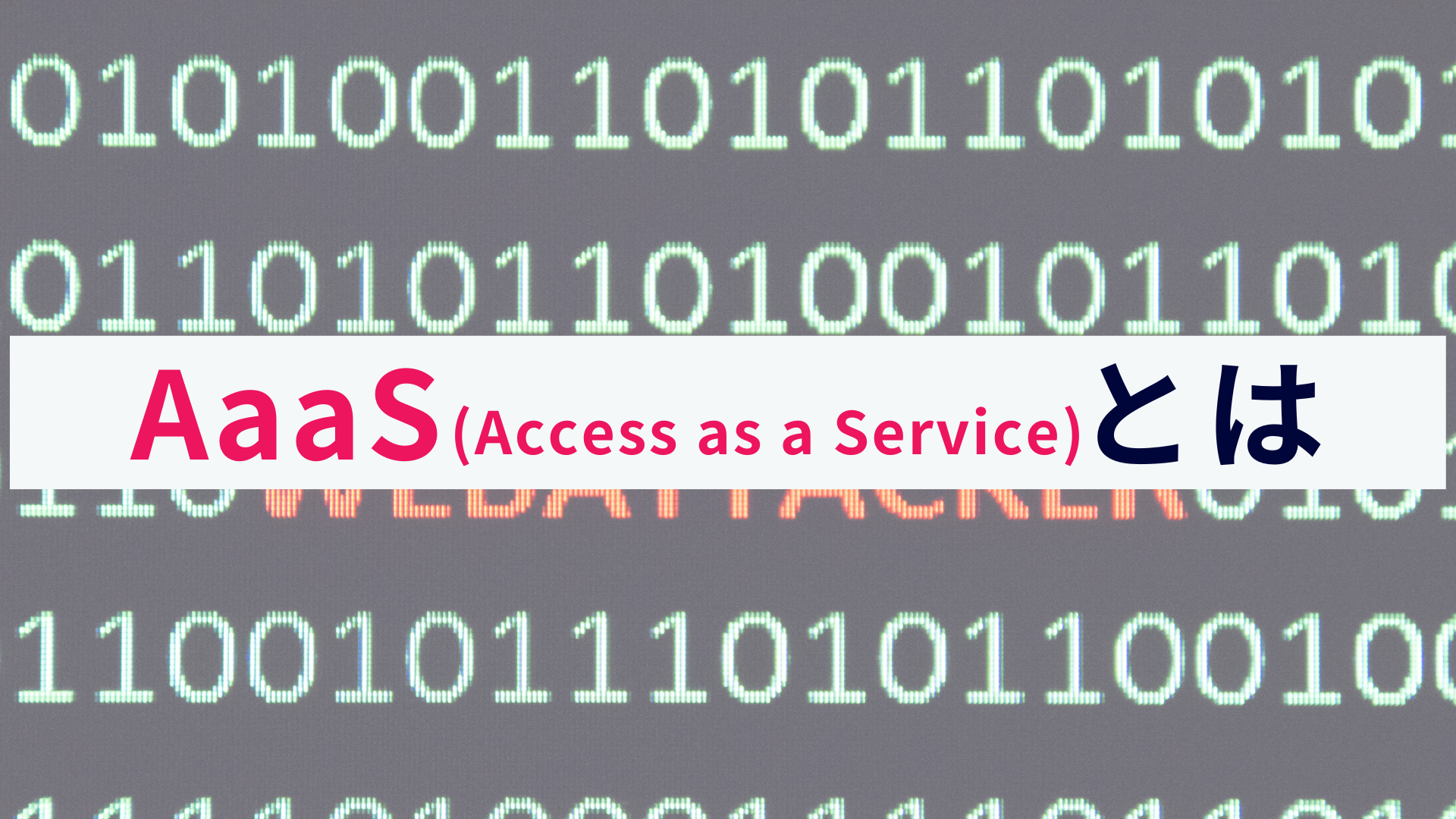 AaaS(Access as a Service)とは?概要を解説!