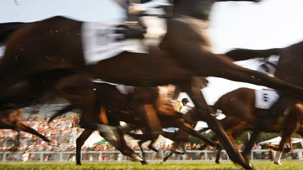 日本中央競馬会で不正アクセス被害　約500件分の関係者メール内容流出の可能性