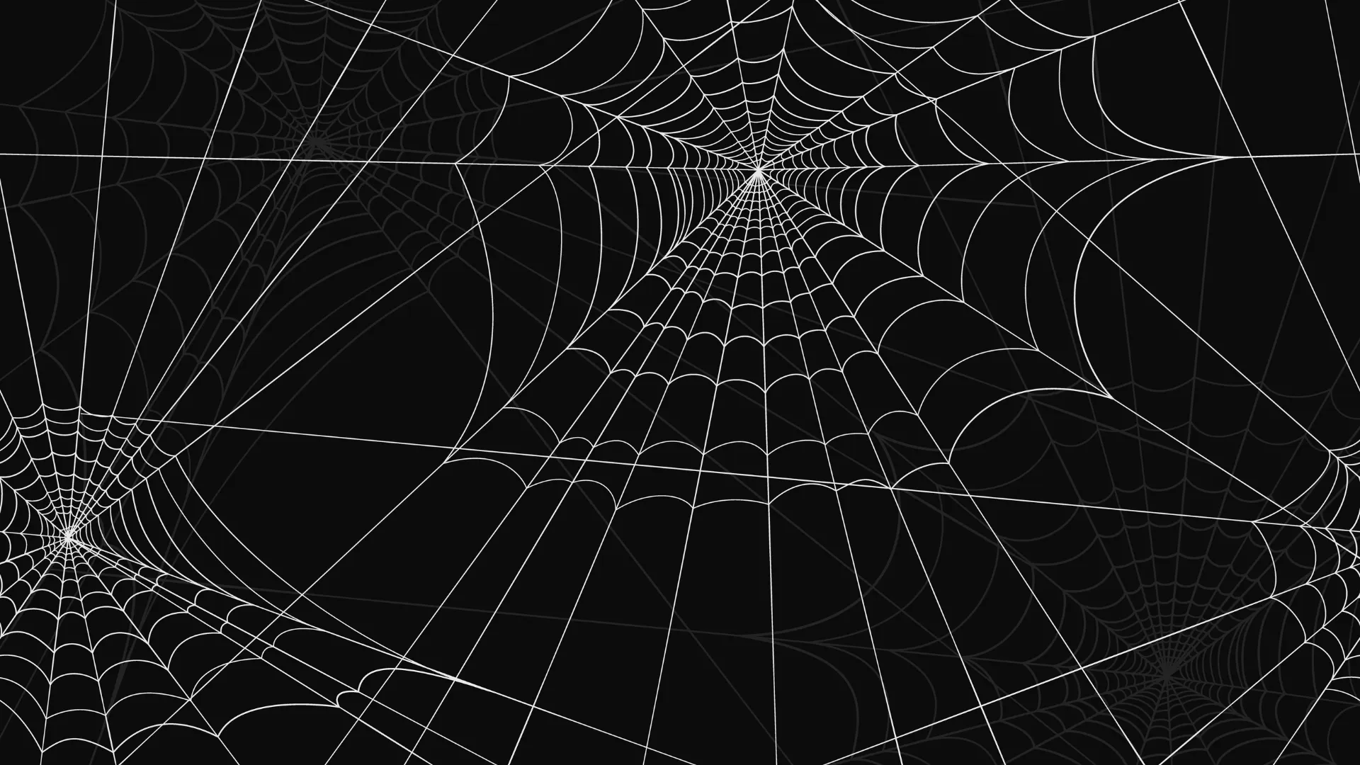 WEBスパイダリングとは?概要と仕組みをわかりやすく解説