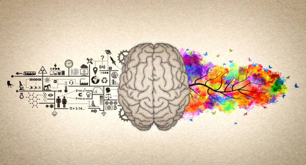 帝塚山学院大学のwebシステム不正アクセス被害　約450名の情報流出か