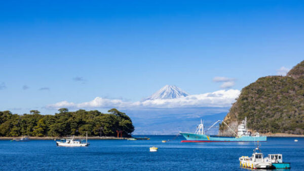 「沼津リバーサイドホテル」宿泊客3,000名の情報流出か　予約システムが不正アクセス被害