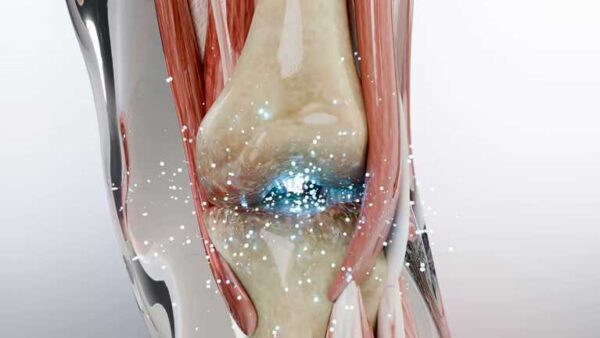 日本リウマチ学会、研究webサイトが不正アクセス被害　個人情報の流出など調査つづく